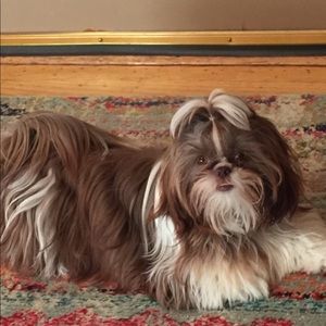 Meet your Posher, Sandra